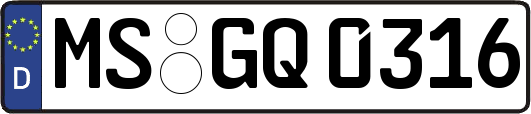 MS-GQ0316