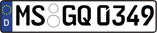 MS-GQ0349