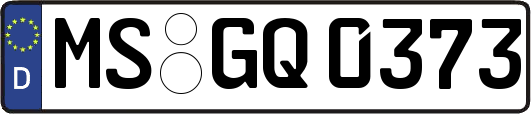MS-GQ0373