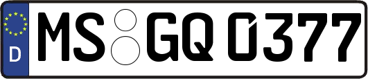 MS-GQ0377