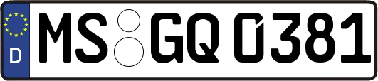 MS-GQ0381
