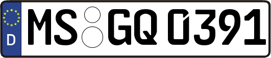 MS-GQ0391