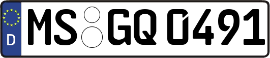 MS-GQ0491