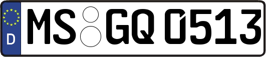 MS-GQ0513