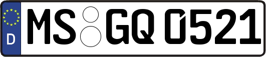 MS-GQ0521