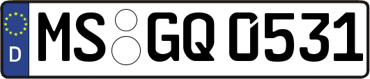 MS-GQ0531