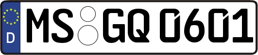 MS-GQ0601