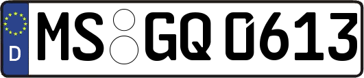 MS-GQ0613