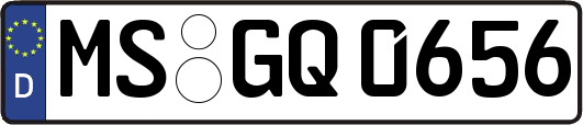 MS-GQ0656