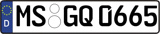 MS-GQ0665