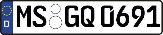 MS-GQ0691