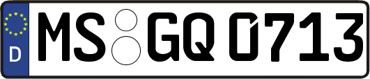 MS-GQ0713