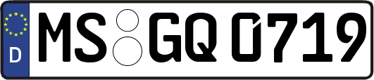 MS-GQ0719