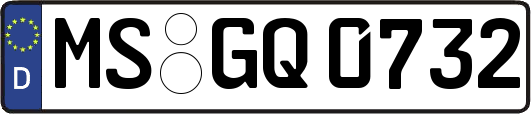 MS-GQ0732