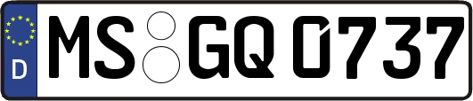 MS-GQ0737