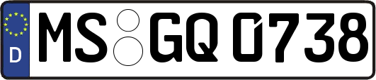 MS-GQ0738