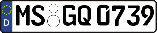 MS-GQ0739