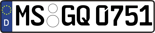 MS-GQ0751