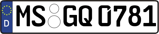MS-GQ0781