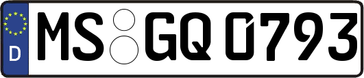 MS-GQ0793