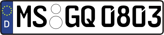 MS-GQ0803