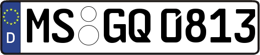 MS-GQ0813