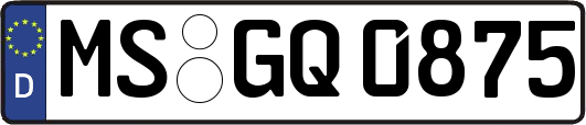 MS-GQ0875