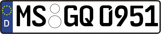 MS-GQ0951