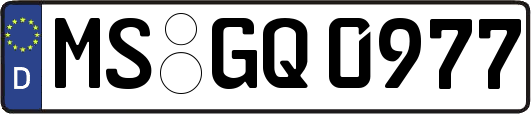 MS-GQ0977