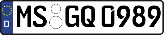 MS-GQ0989