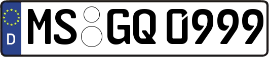 MS-GQ0999