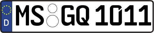 MS-GQ1011
