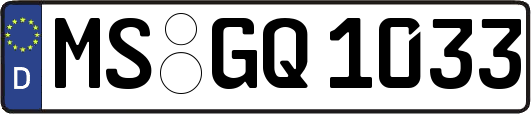 MS-GQ1033