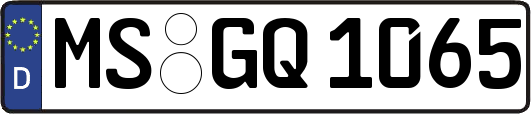 MS-GQ1065