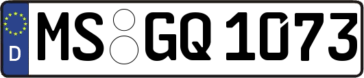 MS-GQ1073