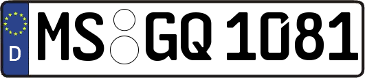 MS-GQ1081