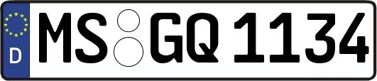 MS-GQ1134