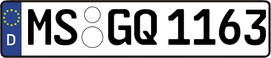 MS-GQ1163