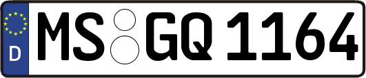 MS-GQ1164