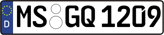 MS-GQ1209