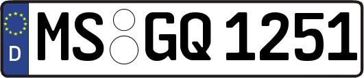 MS-GQ1251