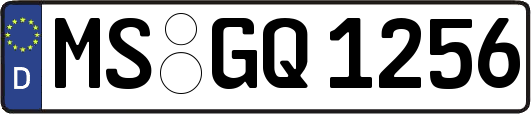 MS-GQ1256