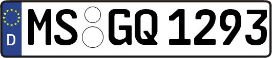 MS-GQ1293