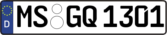 MS-GQ1301