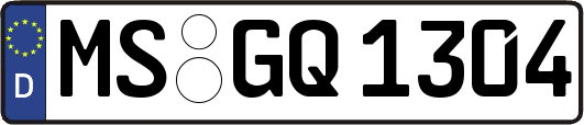 MS-GQ1304