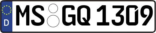 MS-GQ1309