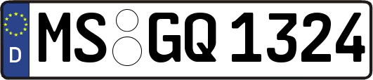 MS-GQ1324