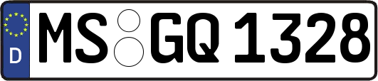 MS-GQ1328