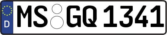 MS-GQ1341