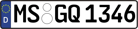 MS-GQ1346